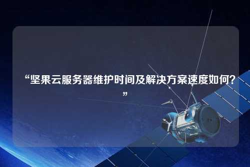 “堅(jiān)果云服務(wù)器維護(hù)時(shí)間及解決方案速度如何？”