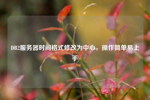 DB2服務器時間格式修改為中心，操作簡單易上手