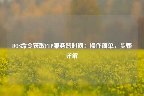 DOS命令獲取FTP服務器時間：操作簡單，步驟詳解