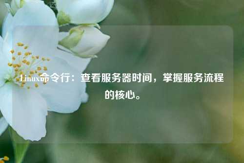 Linux命令行：查看服務器時間，掌握服務流程的核心。