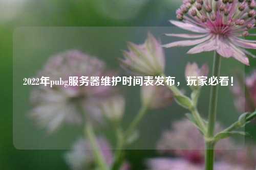 2022年pubg服務器維護時間表發(fā)布，玩家必看！